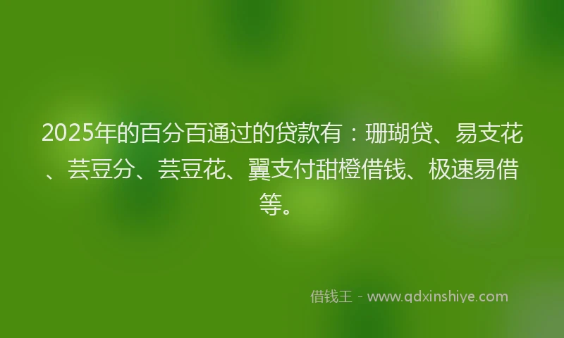 2025年的百分百通过的贷款有：珊瑚贷、易支花、芸豆分、芸豆花、翼支付甜橙借钱、极速易借等。