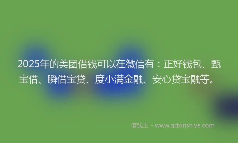 2025年的美团借钱可以在微信有：正好钱包、甄宝借、瞬借宝贷、度小满金融、安心贷宝融等。