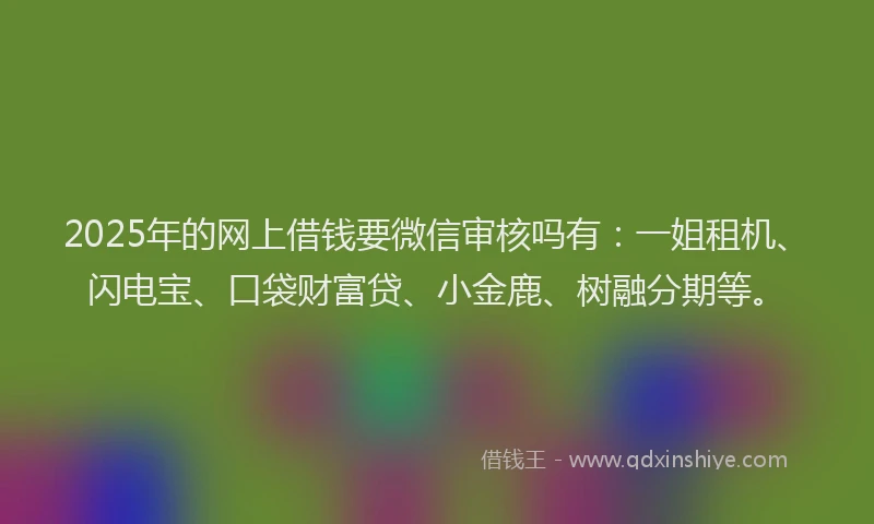 2025年的网上借钱要微信审核吗有：一姐租机、闪电宝、口袋财富贷、小金鹿、树融分期等。