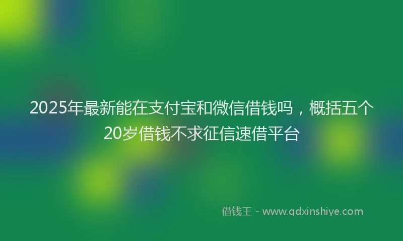 2025年最新能在支付宝和微信借钱吗，概括五个20岁借钱不求征信速借平台