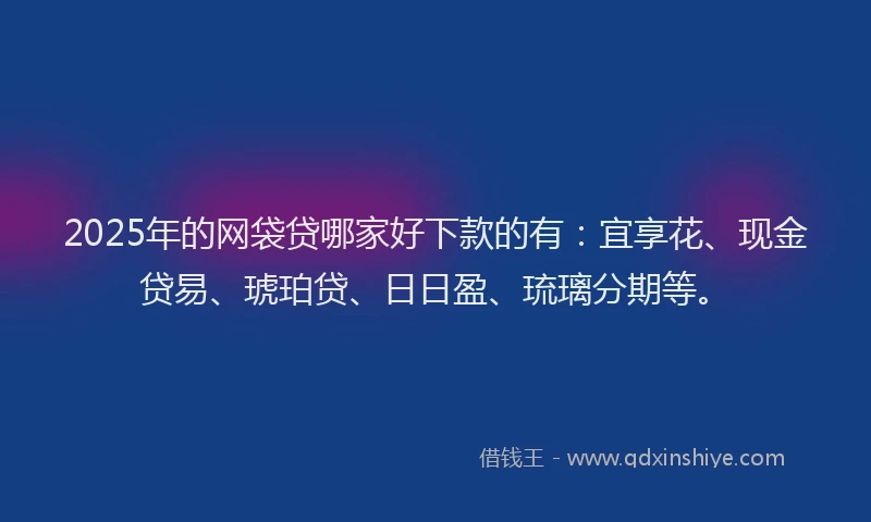 2025年的网袋贷哪家好下款的有：宜享花、现金贷易、琥珀贷、日日盈、琉璃分期等。