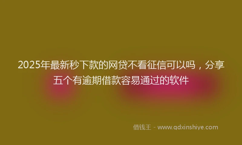 2025年最新秒下款的网贷不看征信可以吗，分享五个有逾期借款容易通过的软件