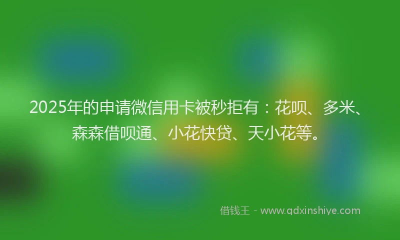 2025年的申请微信用卡被秒拒有：花呗、多米、森森借呗通、小花快贷、天小花等。