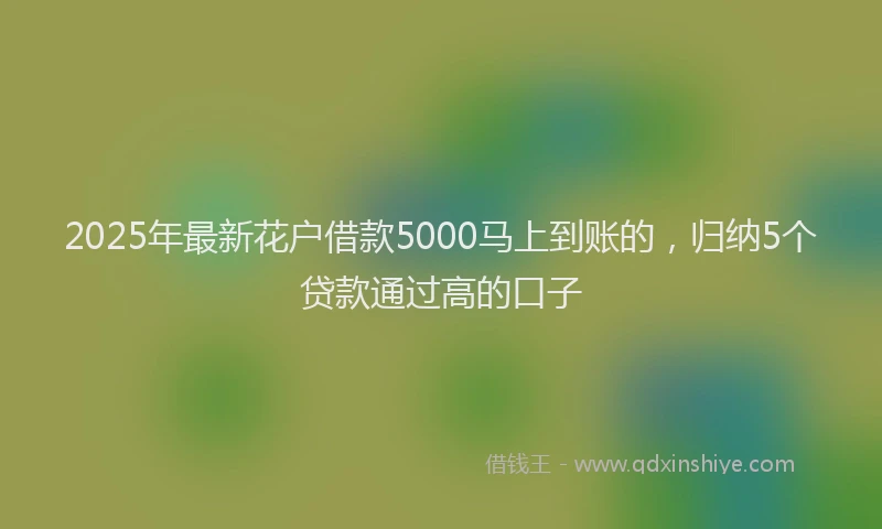 2025年最新花户借款5000马上到账的，归纳5个贷款通过高的口子