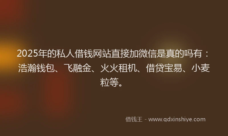 2025年的私人借钱网站直接加微信是真的吗有：浩瀚钱包、飞融金、火火租机、借贷宝易、小麦粒等。