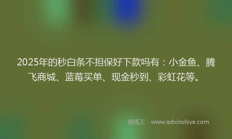 2025年的秒白条不担保好下款吗有：小金鱼、腾飞商城、蓝莓买单、现金秒到、彩虹花等。