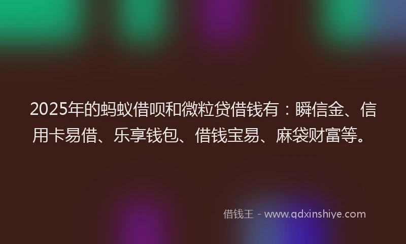 2025年的蚂蚁借呗和微粒贷借钱有：瞬信金、信用卡易借、乐享钱包、借钱宝易、麻袋财富等。
