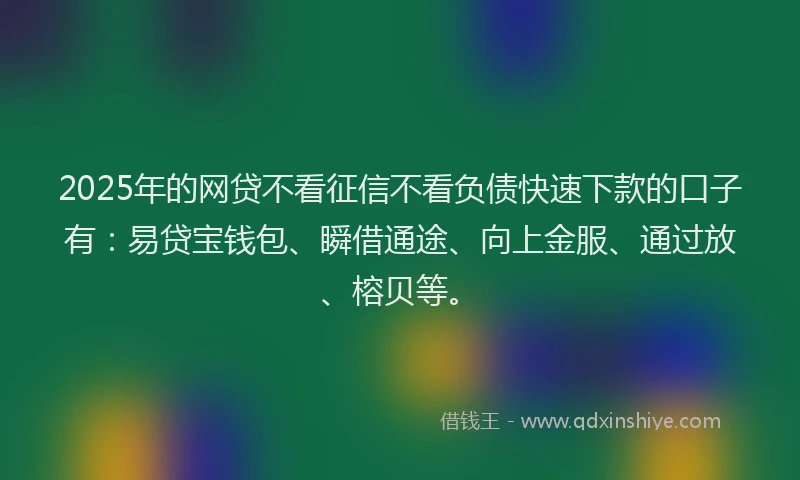 2025年的网贷不看征信不看负债快速下款的口子有：易贷宝钱包、瞬借通途、向上金服、通过放、榕贝等。