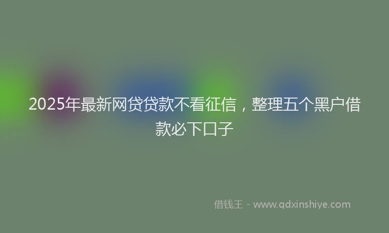 2025年最新网贷贷款不看征信，整理五个黑户借款必下口子