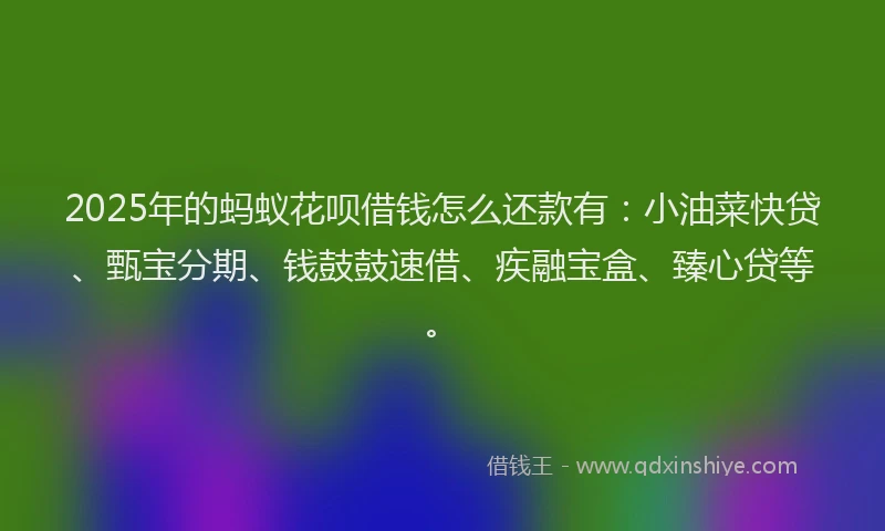 2025年的蚂蚁花呗借钱怎么还款有：小油菜快贷、甄宝分期、钱鼓鼓速借、疾融宝盒、臻心贷等。