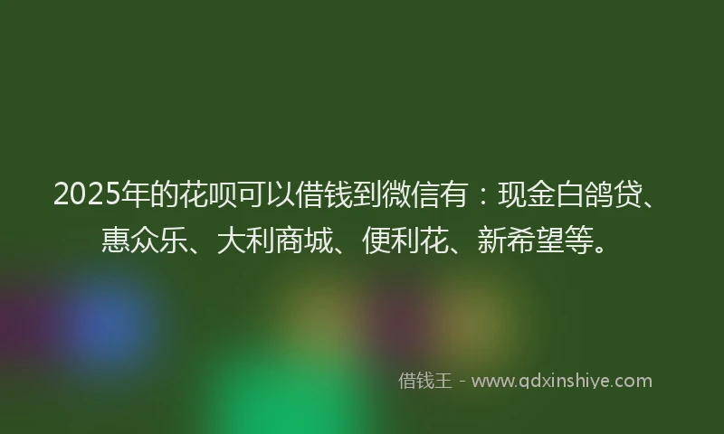 2025年的花呗可以借钱到微信有：现金白鸽贷、惠众乐、大利商城、便利花、新希望等。