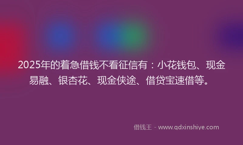 2025年的着急借钱不看征信有：小花钱包、现金易融、银杏花、现金侠途、借贷宝速借等。