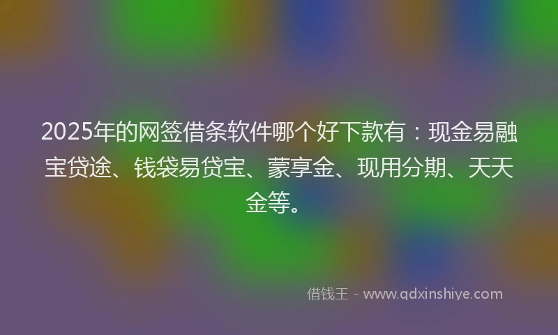 2025年的网签借条软件哪个好下款有：现金易融宝贷途、钱袋易贷宝、蒙享金、现用分期、天天金等。