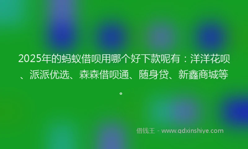 2025年的蚂蚁借呗用哪个好下款呢有：洋洋花呗、派派优选、森森借呗通、随身贷、新鑫商城等。
