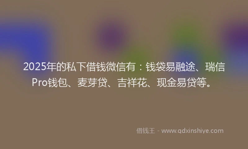 2025年的私下借钱微信有：钱袋易融途、瑞信Pro钱包、麦芽贷、吉祥花、现金易贷等。