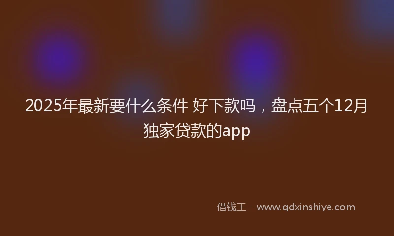 2025年最新要什么条件 好下款吗，盘点五个12月独家贷款的app