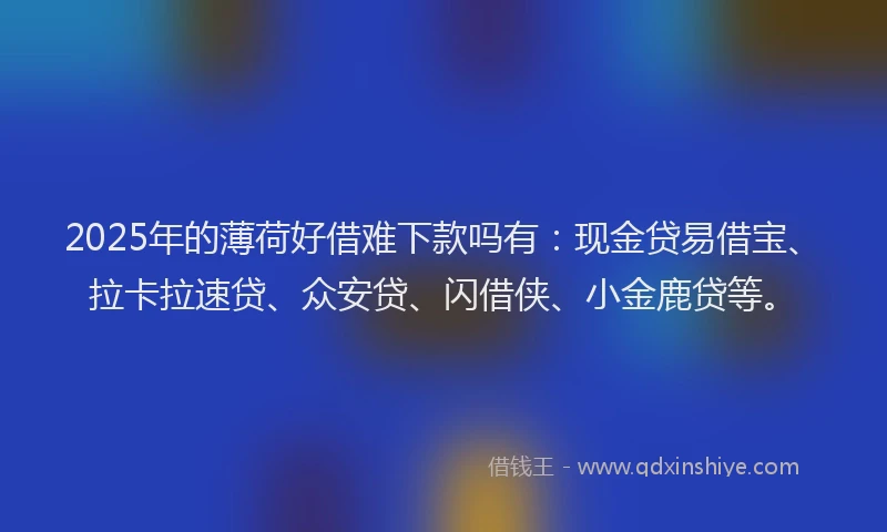 2025年的薄荷好借难下款吗有：现金贷易借宝、拉卡拉速贷、众安贷、闪借侠、小金鹿贷等。