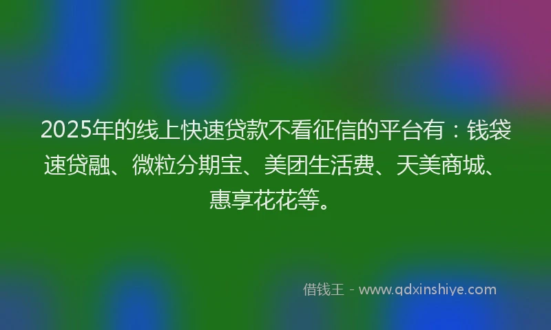 2025年的线上快速贷款不看征信的平台有：钱袋速贷融、微粒分期宝、美团生活费、天美商城、惠享花花等。