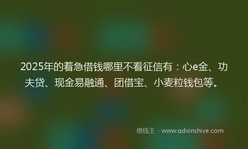 2025年的着急借钱哪里不看征信有：心e金、功夫贷、现金易融通、团借宝、小麦粒钱包等。