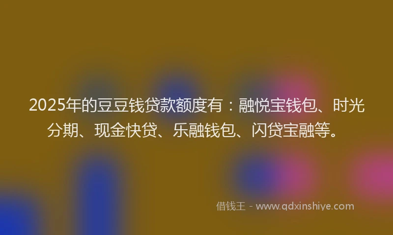 2025年的豆豆钱贷款额度有：融悦宝钱包、时光分期、现金快贷、乐融钱包、闪贷宝融等。