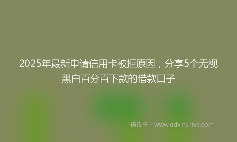 2025年最新申请信用卡被拒原因，分享5个无视黑白百分百下款的借款口子