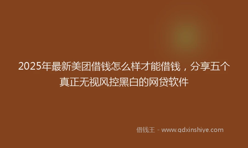 2025年最新美团借钱怎么样才能借钱，分享五个真正无视风控黑白的网贷软件