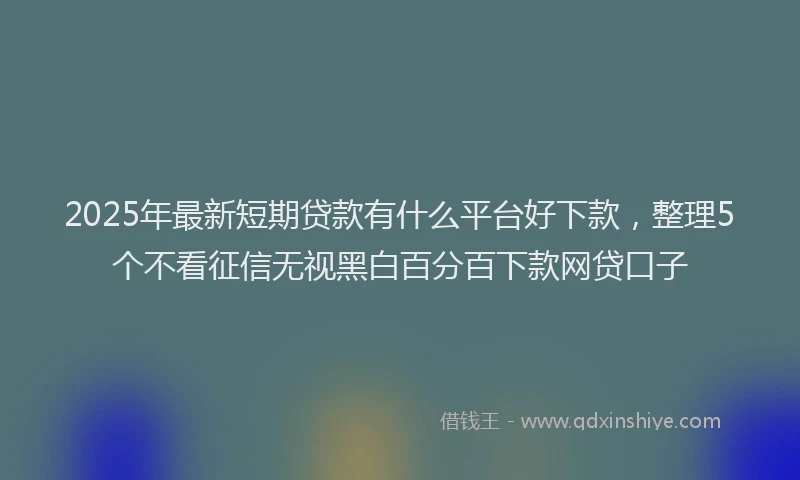 2025年最新短期贷款有什么平台好下款，整理5个不看征信无视黑白百分百下款网贷口子