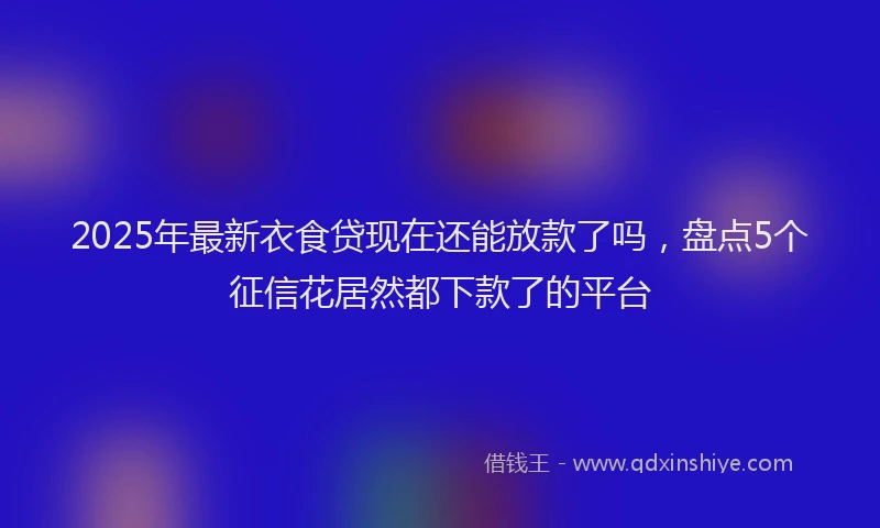 2025年最新衣食贷现在还能放款了吗，盘点5个征信花居然都下款了的平台