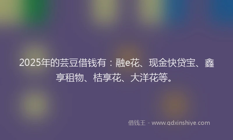 2025年的芸豆借钱有：融e花、现金快贷宝、鑫享租物、桔享花、大洋花等。