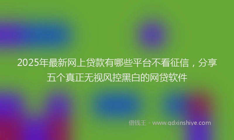 2025年最新网上贷款有哪些平台不看征信，分享五个真正无视风控黑白的网贷软件