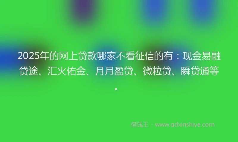 2025年的网上贷款哪家不看征信的有：现金易融贷途、汇火佑金、月月盈贷、微粒贷、瞬贷通等。