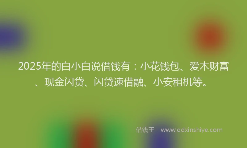 2025年的白小白说借钱有：小花钱包、爱木财富、现金闪贷、闪贷速借融、小安租机等。