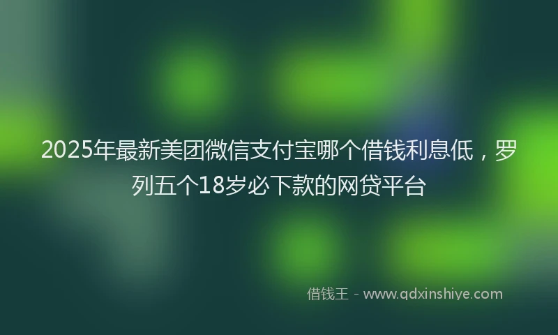 2025年最新美团微信支付宝哪个借钱利息低，罗列五个18岁必下款的网贷平台