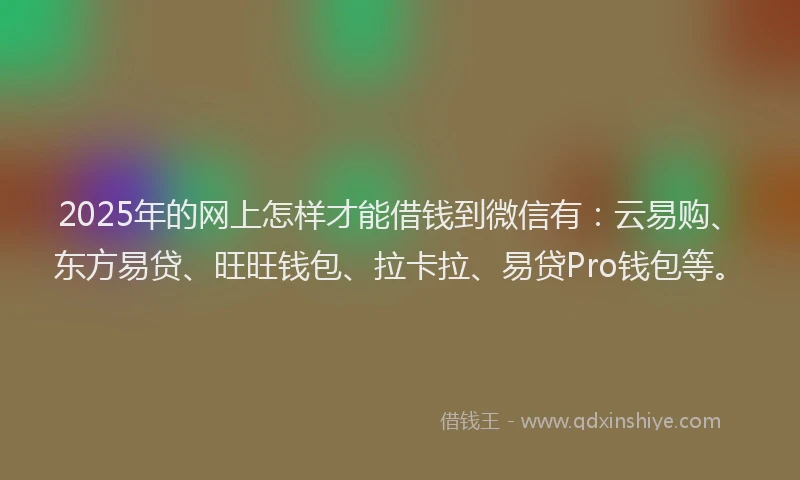 2025年的网上怎样才能借钱到微信有：云易购、东方易贷、旺旺钱包、拉卡拉、易贷Pro钱包等。