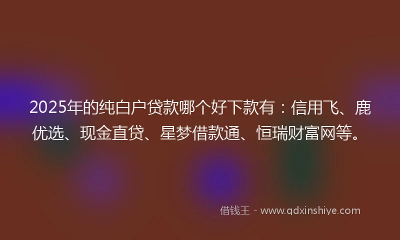 2025年的纯白户贷款哪个好下款有：信用飞、鹿优选、现金直贷、星梦借款通、恒瑞财富网等。