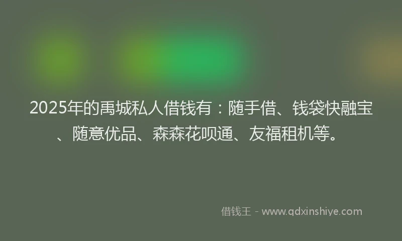 2025年的禹城私人借钱有：随手借、钱袋快融宝、随意优品、森森花呗通、友福租机等。