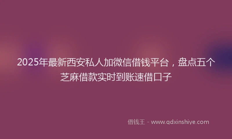 2025年最新西安私人加微信借钱平台，盘点五个芝麻借款实时到账速借口子