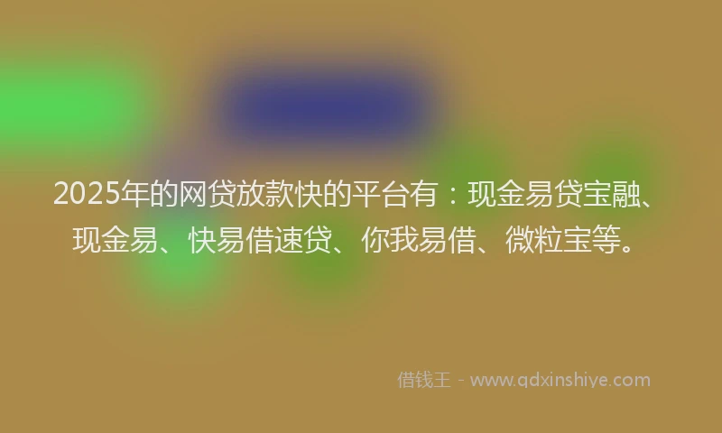 2025年的网贷放款快的平台有：现金易贷宝融、现金易、快易借速贷、你我易借、微粒宝等。