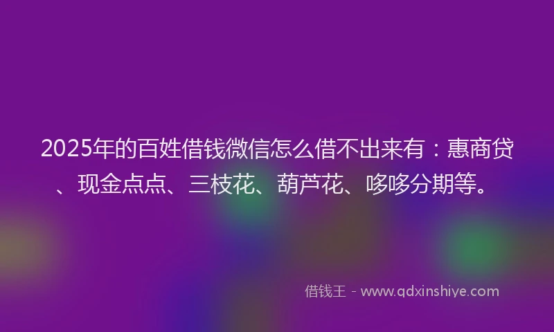 2025年的百姓借钱微信怎么借不出来有：惠商贷、现金点点、三枝花、葫芦花、哆哆分期等。