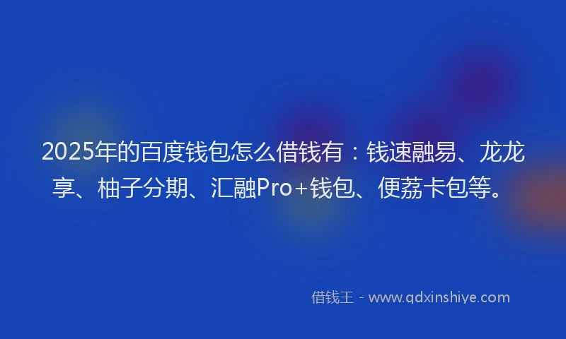 2025年的百度钱包怎么借钱有：钱速融易、龙龙享、柚子分期、汇融Pro+钱包、便荔卡包等。