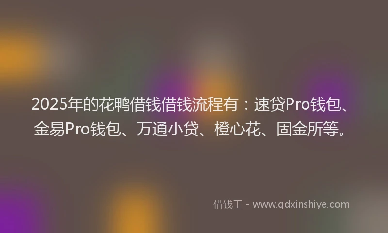2025年的花鸭借钱借钱流程有：速贷Pro钱包、金易Pro钱包、万通小贷、橙心花、固金所等。