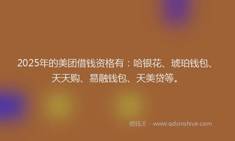 2025年的美团借钱资格有：哈银花、琥珀钱包、天天购、易融钱包、天美贷等。