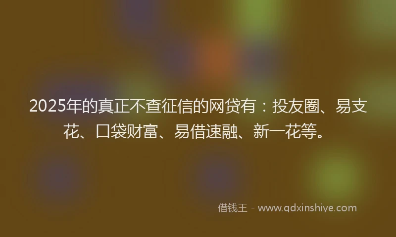 2025年的真正不查征信的网贷有：投友圈、易支花、口袋财富、易借速融、新一花等。