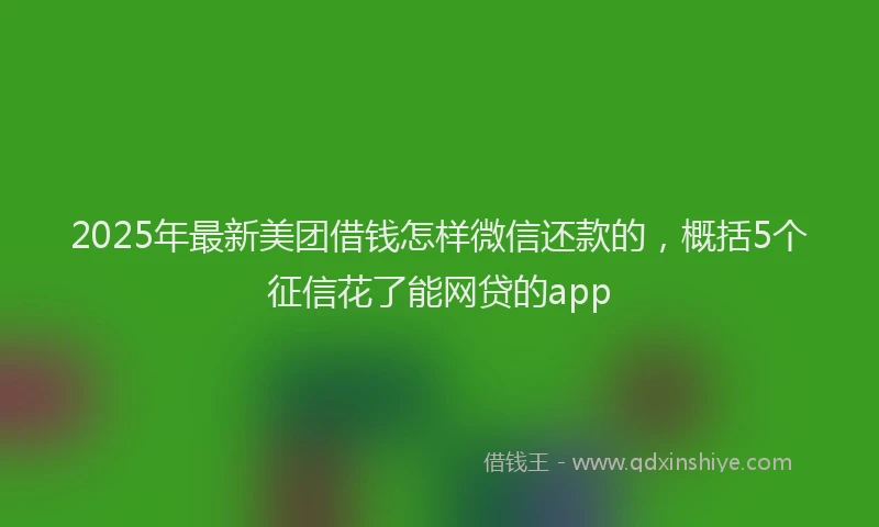 2025年最新美团借钱怎样微信还款的，概括5个征信花了能网贷的app