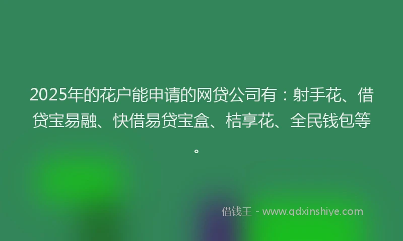 2025年的花户能申请的网贷公司有：射手花、借贷宝易融、快借易贷宝盒、桔享花、全民钱包等。
