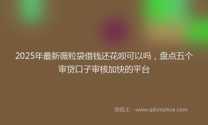 2025年最新薇粒袋借钱还花呗可以吗，盘点五个审贷口子审核加快的平台