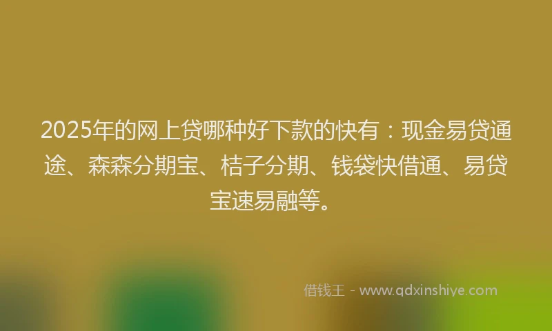 2025年的网上贷哪种好下款的快有：现金易贷通途、森森分期宝、桔子分期、钱袋快借通、易贷宝速易融等。