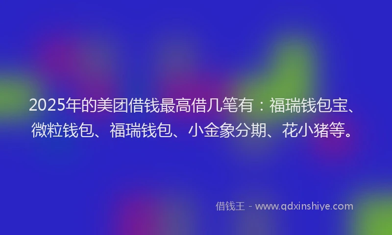 2025年的美团借钱最高借几笔有：福瑞钱包宝、微粒钱包、福瑞钱包、小金象分期、花小猪等。
