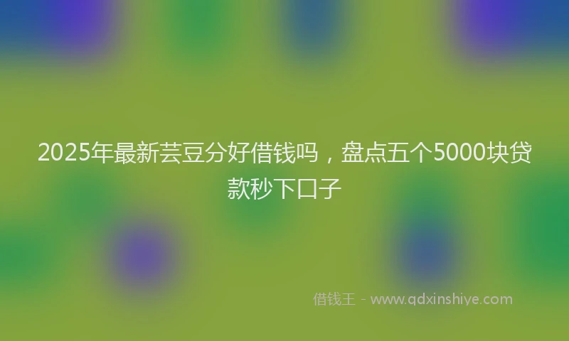 2025年最新芸豆分好借钱吗，盘点五个5000块贷款秒下口子