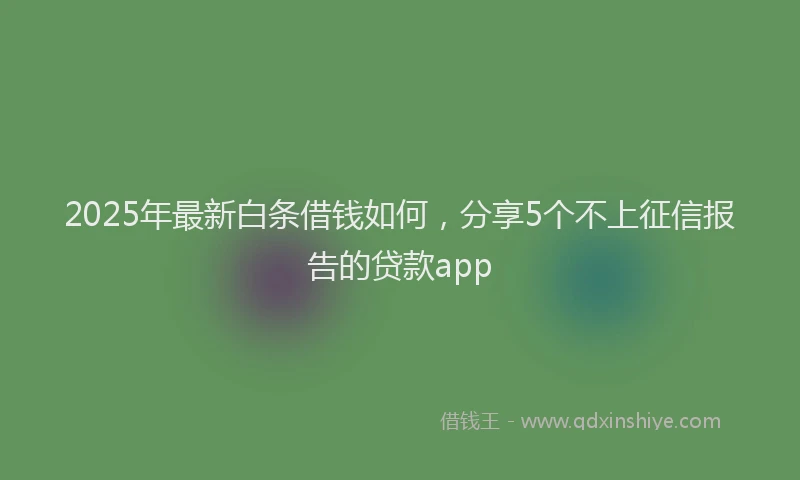 2025年最新白条借钱如何，分享5个不上征信报告的贷款app